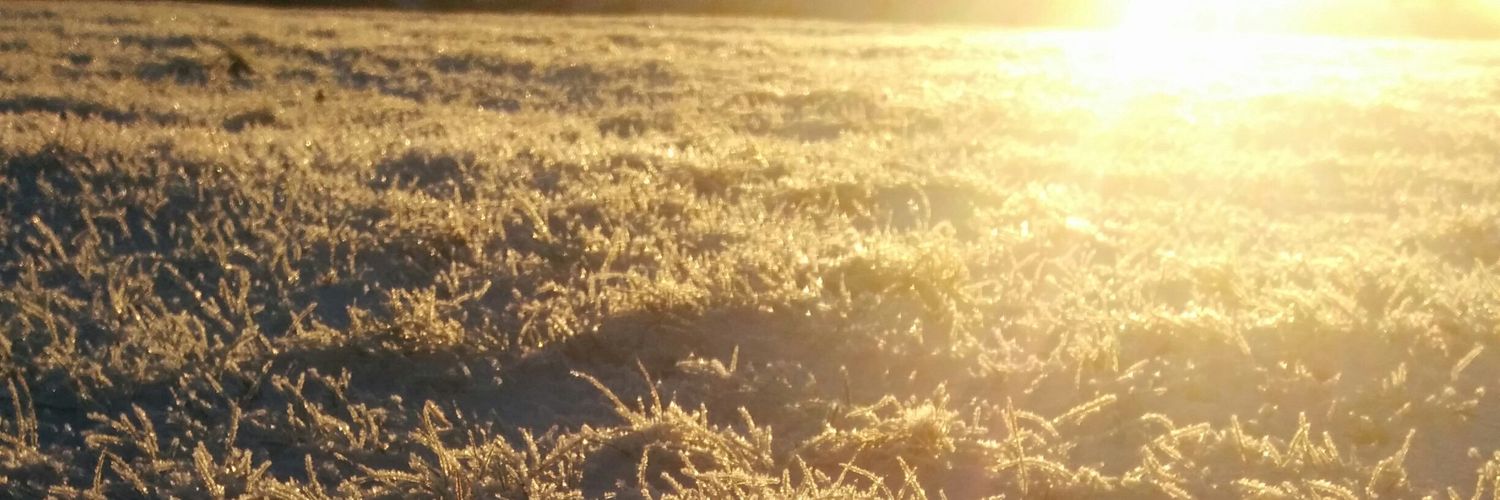 villeseppoolavi's profile banner image
