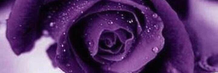 SUPAFUNKYCALI's profile banner image