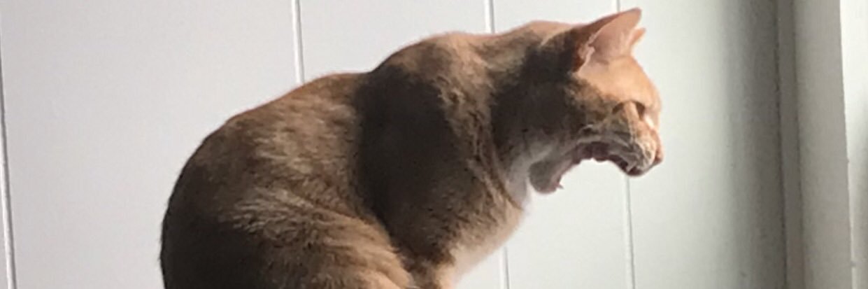 emma 🍒 banner