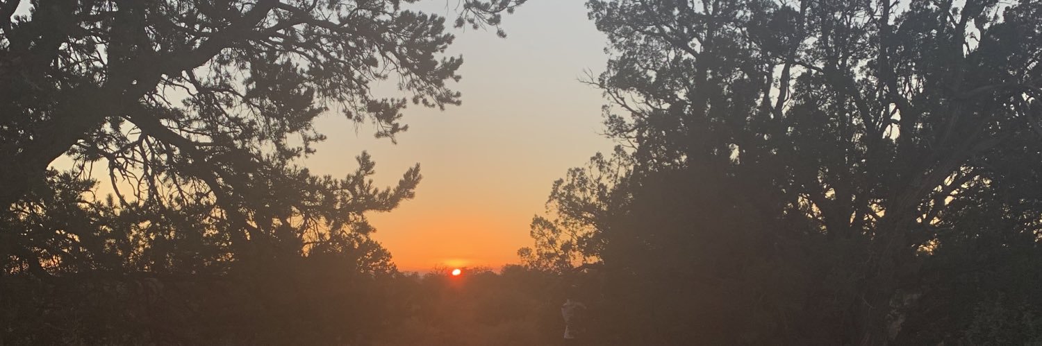 sunny alexandria banner