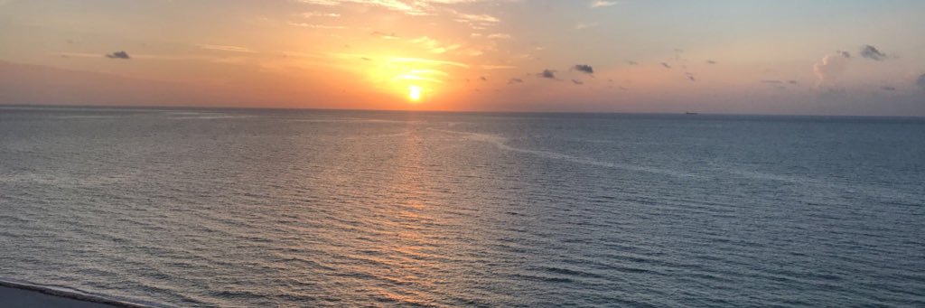 JustNenalive's profile banner image