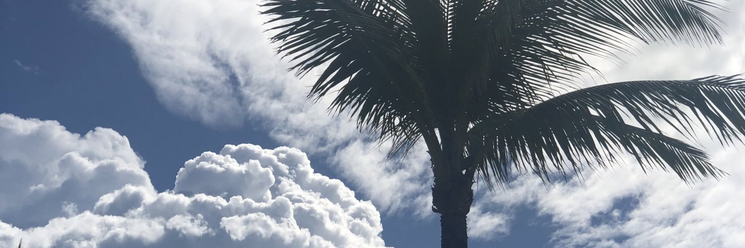 MelaaCraig's profile banner image
