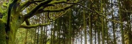 Moymmx84's profile banner image
