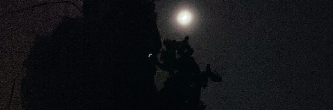 juneesnake's profile banner image