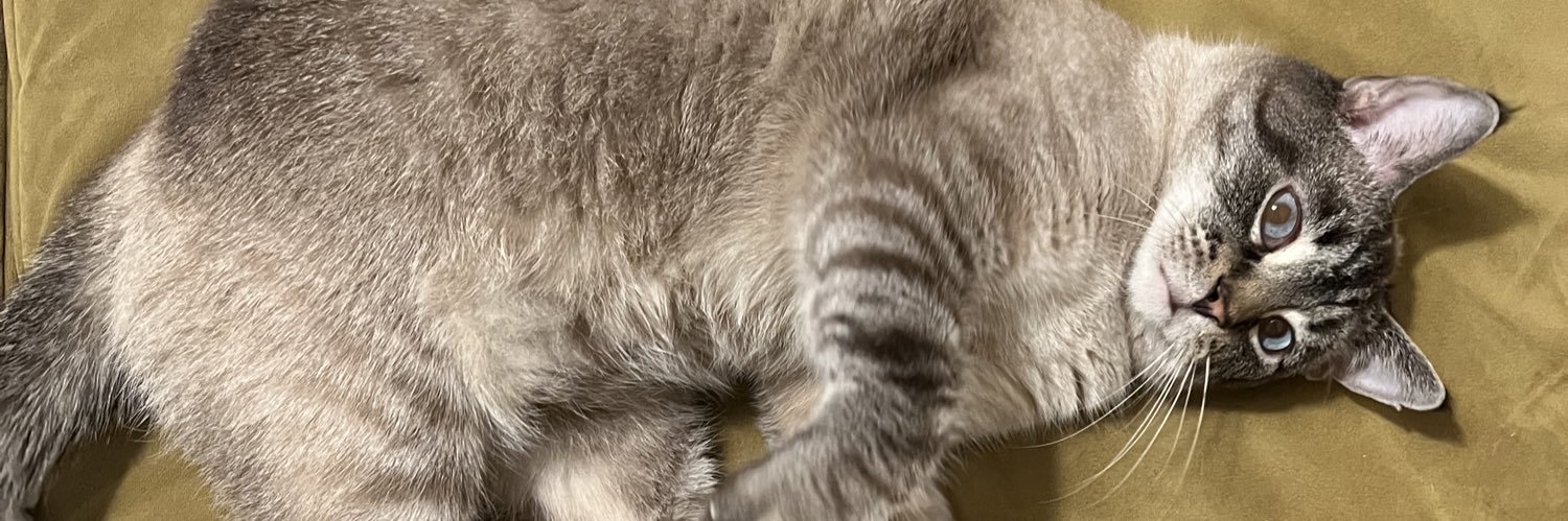 Vukoviee's profile banner image