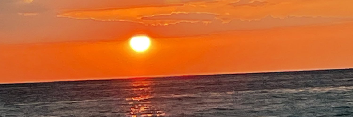 Virginia Freeman banner