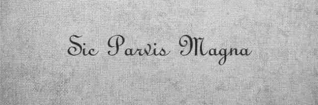 Ali Kemal Tunçok 🖖👽 banner