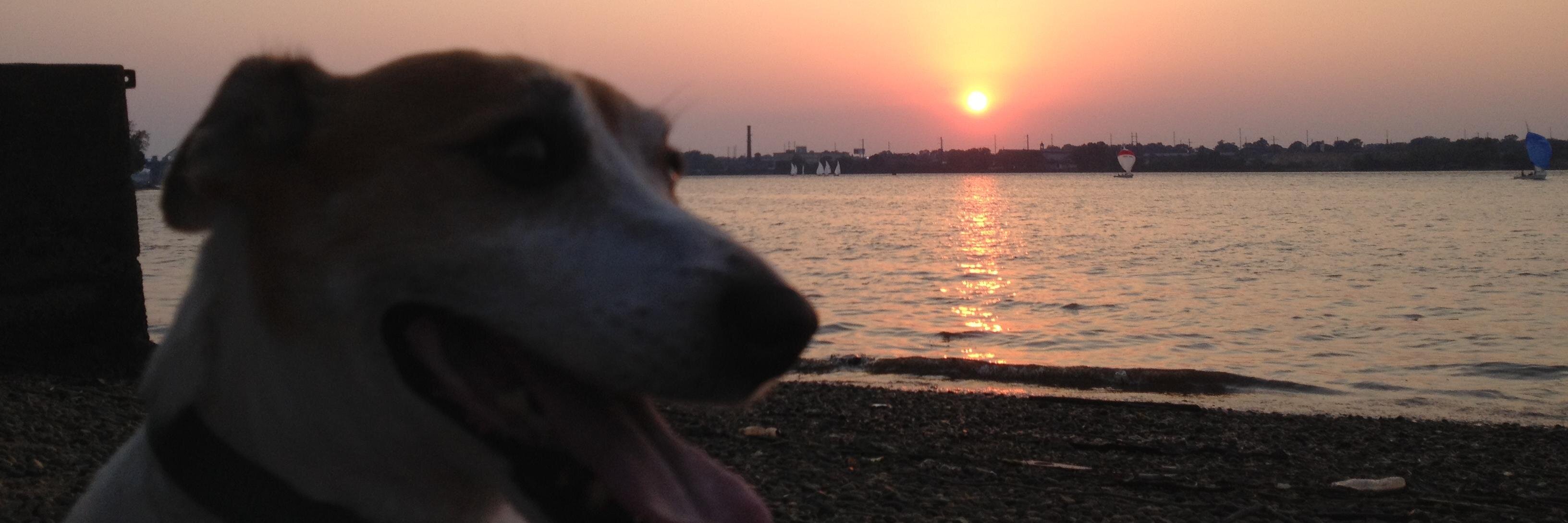 gvickygg's profile banner image