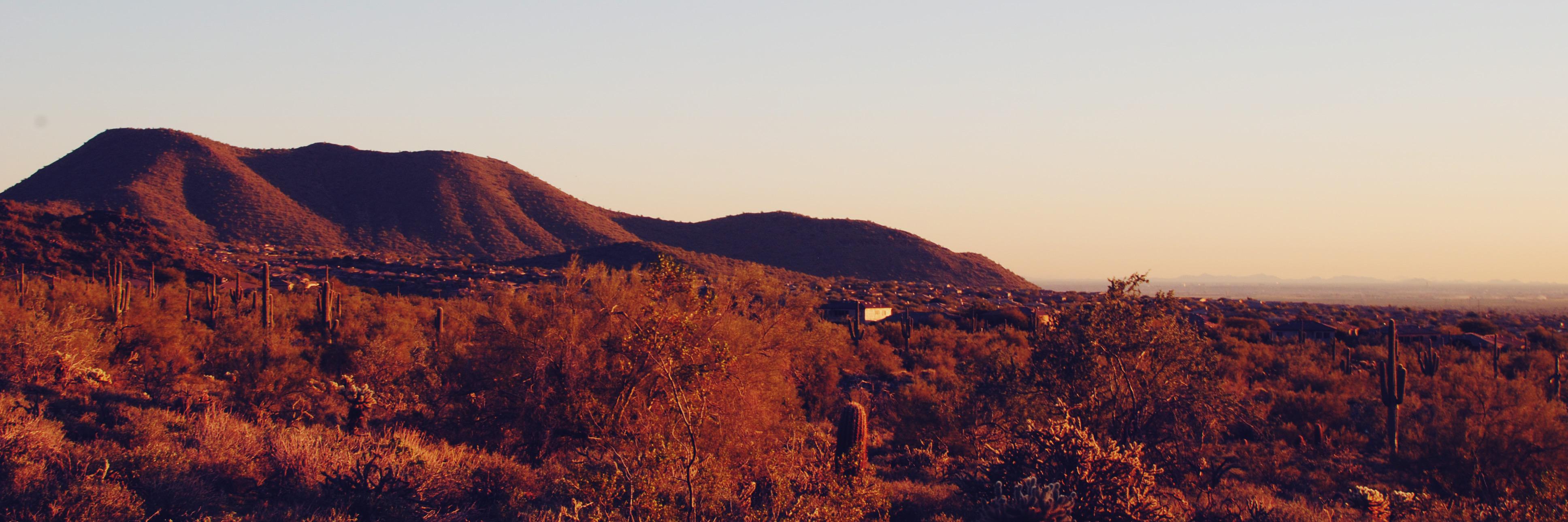 KateUrsu's profile banner image