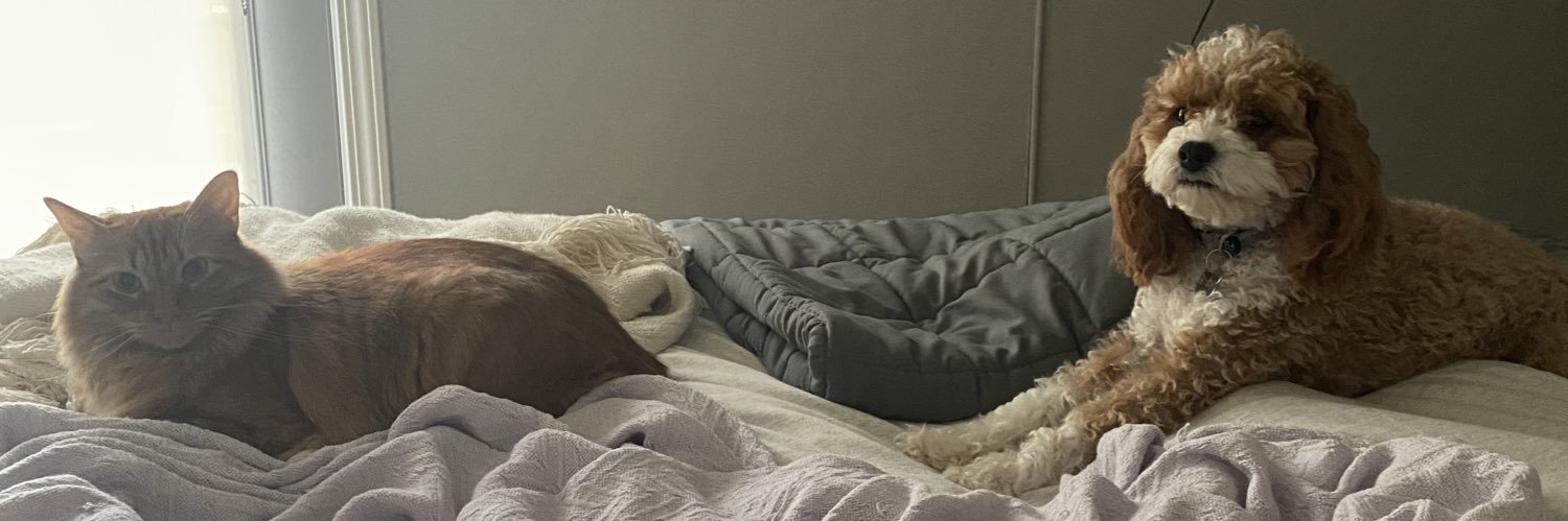 Allison Michelle banner