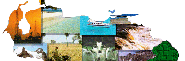 ariafrut's profile banner image