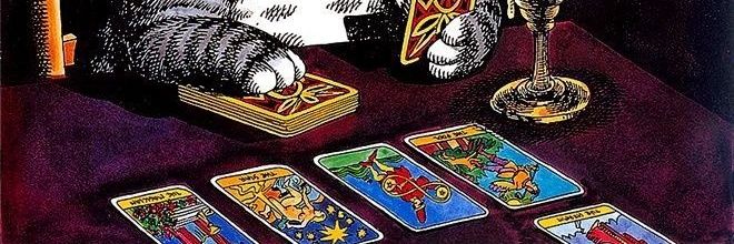 v_rafaelll's profile banner image