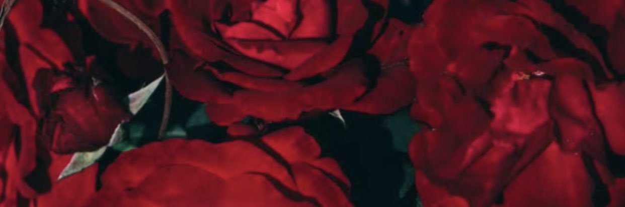 deemnor's profile banner image