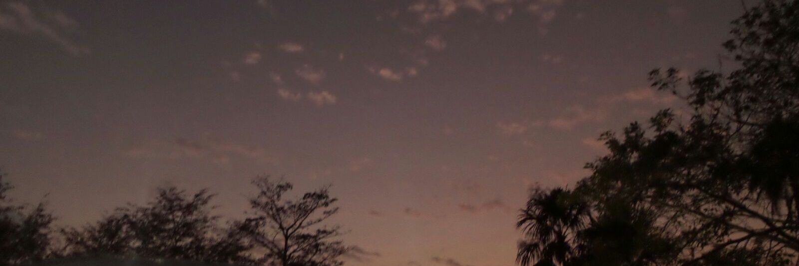 DanielaBerrio_'s profile banner image