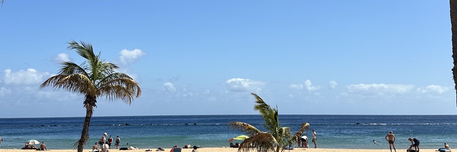 henaarperez's profile banner image