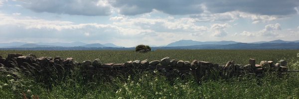 harashulme Profile Banner