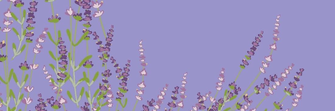 lepetitspa's profile banner image