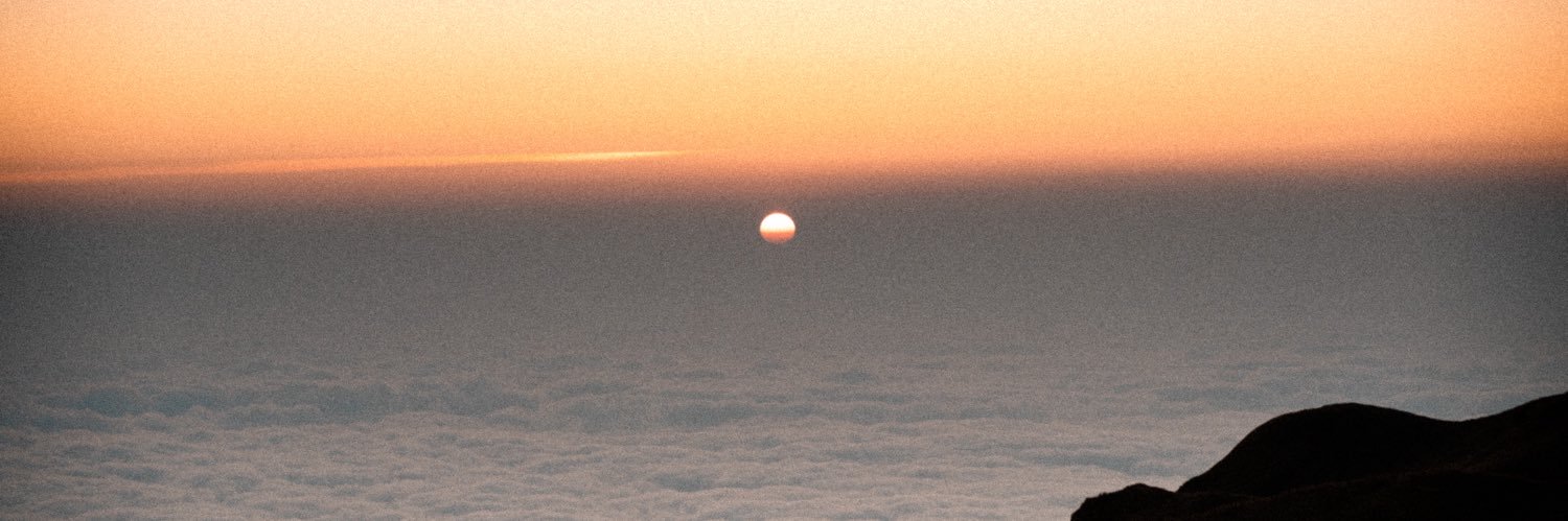 sofiafntblla's profile banner image