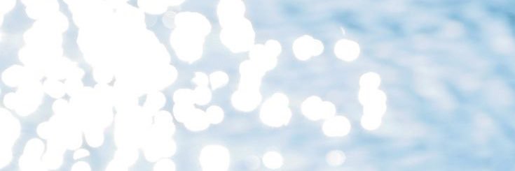plushiemami's profile banner image