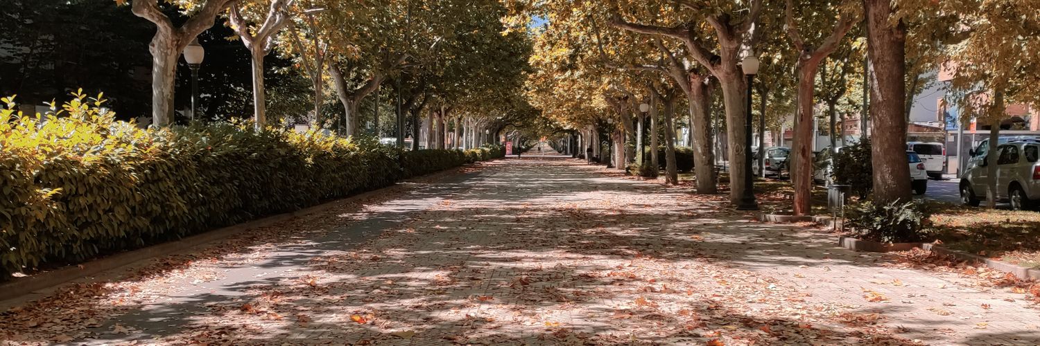 𝗫 𝗮 𝘃 𝗶 🦊 banner