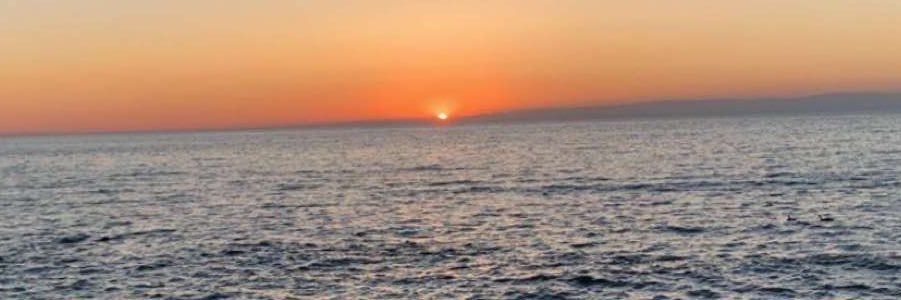 hannahsims4's profile banner image