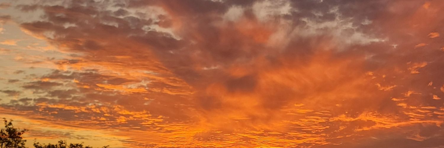FrestonR's profile banner image
