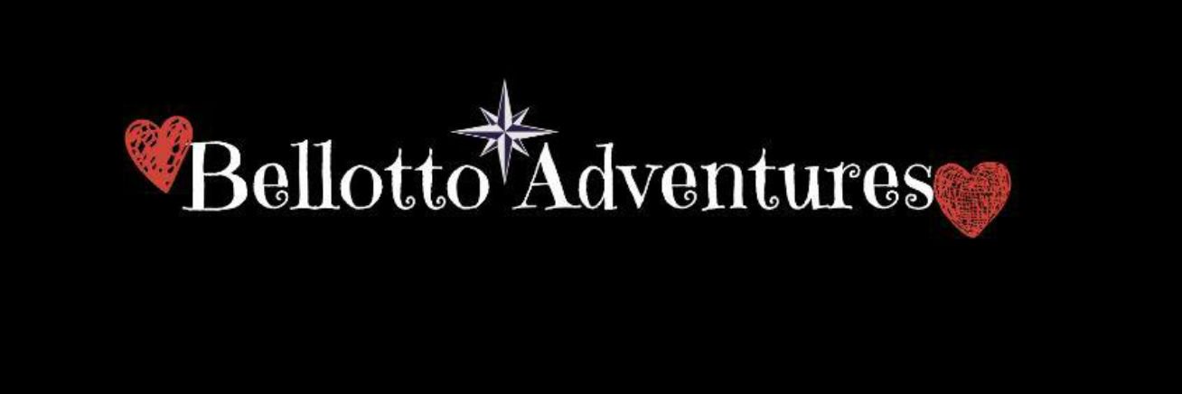 BellottoFamVlog's profile banner image