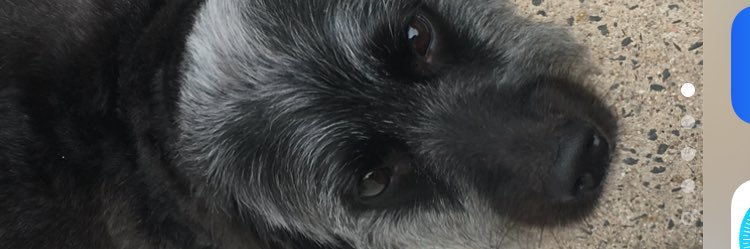 Ljuanpapi's profile banner image