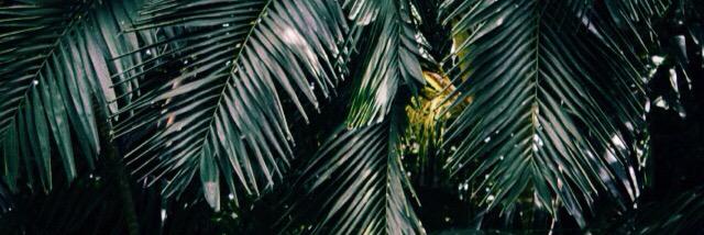 jayceebayyy's profile banner image