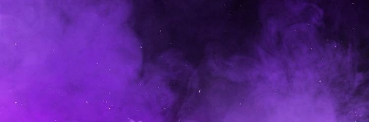 Elizabeth Paz banner