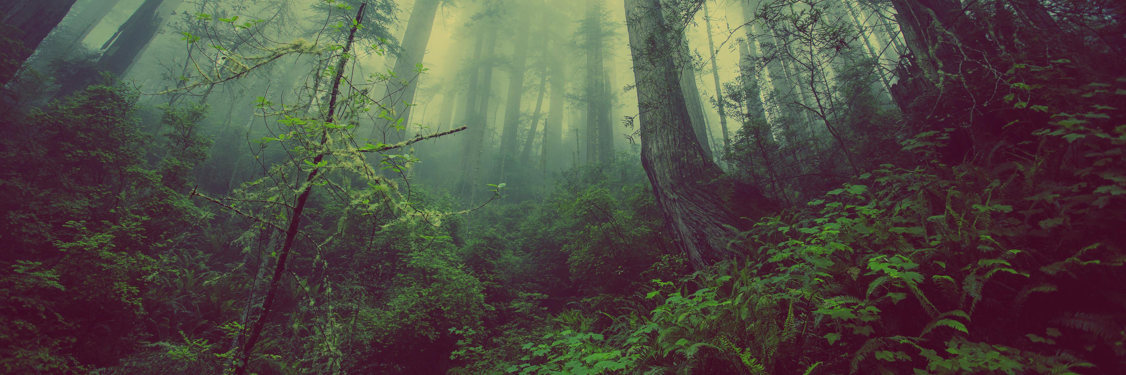 Beck_Ethan's profile banner image