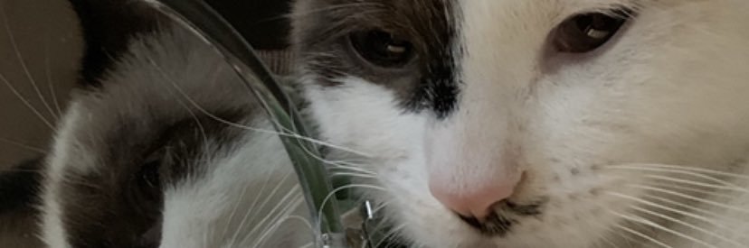 VarelaJailene's profile banner image