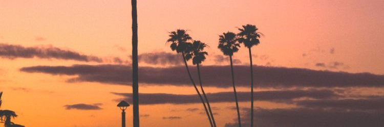 Danloiss's profile banner image