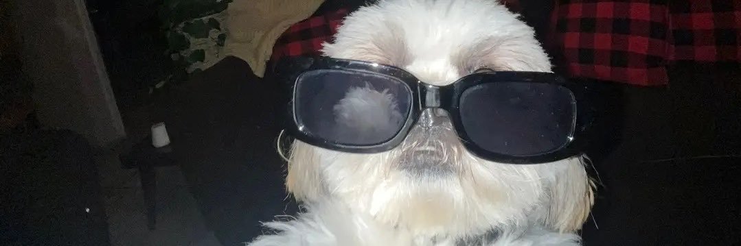 fabsgabsx's profile banner image