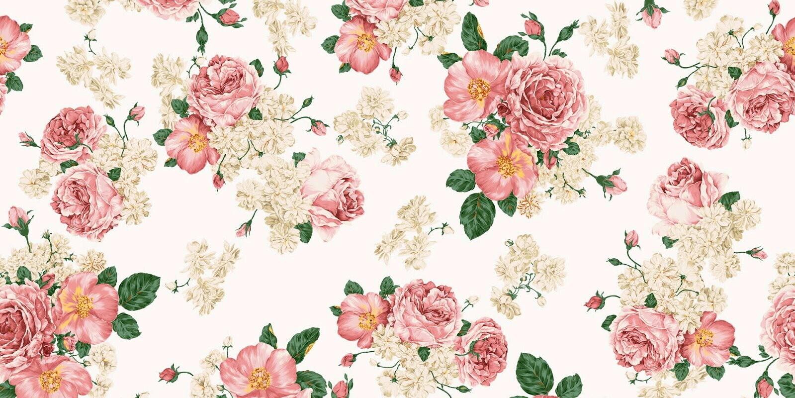 Qiss_Momo's profile banner image