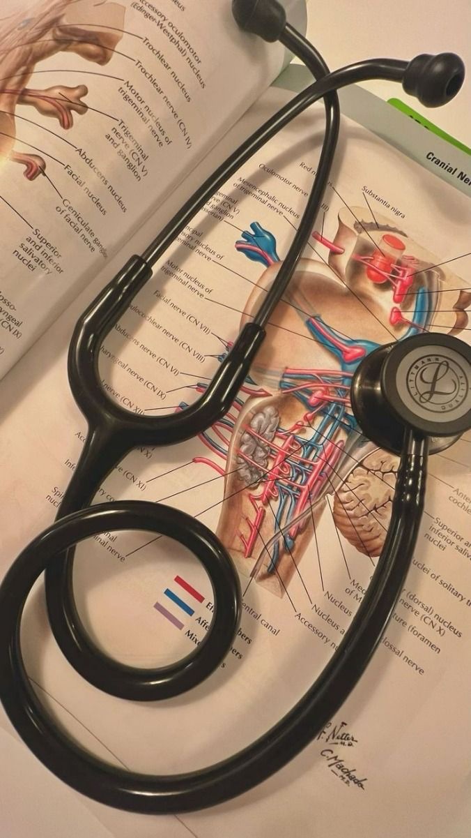 studybybellmed's profile banner image