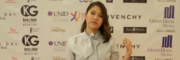 stylesimulator Profile Banner