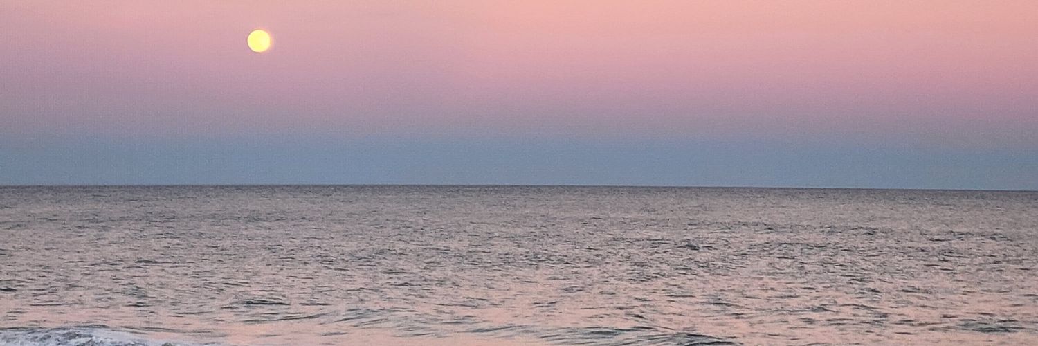 tabbymarieee11's profile banner image