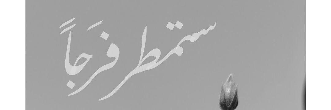 fnonk's profile banner image