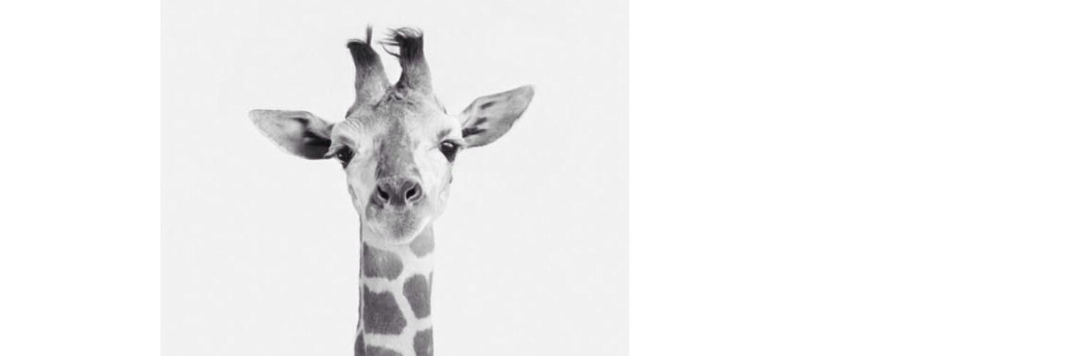 becpatt4's profile banner image