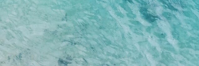FabiolaPapitasAndrea banner