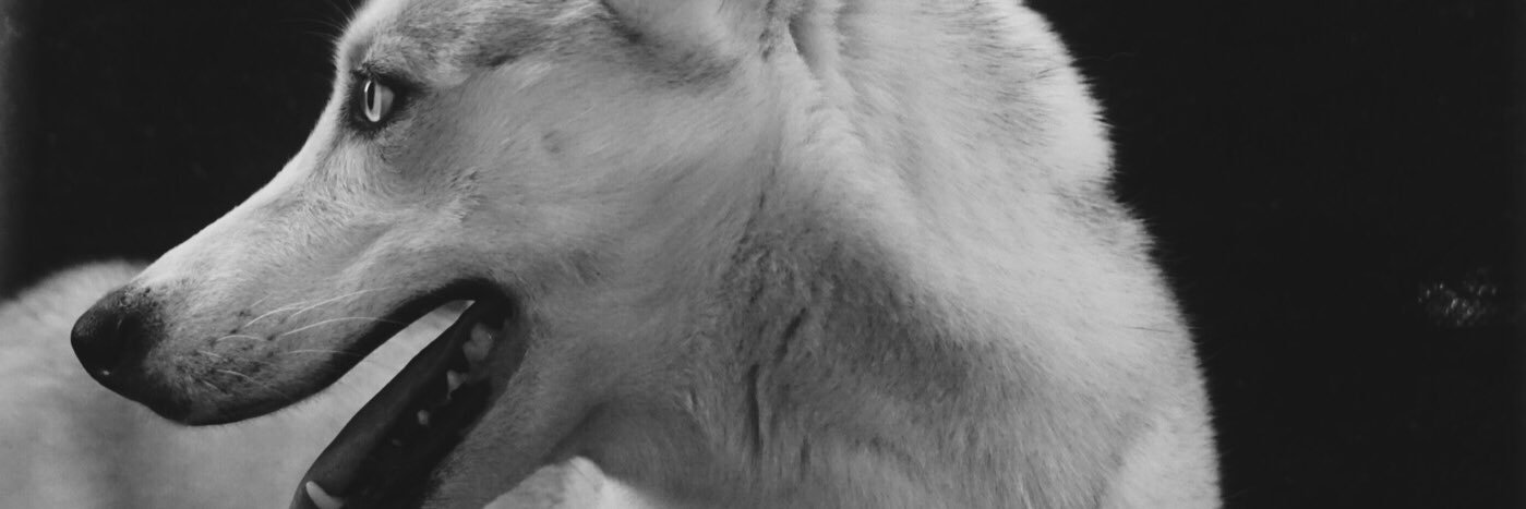 OutlawDior's profile banner image