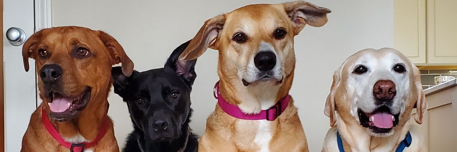 Deron Binkley banner