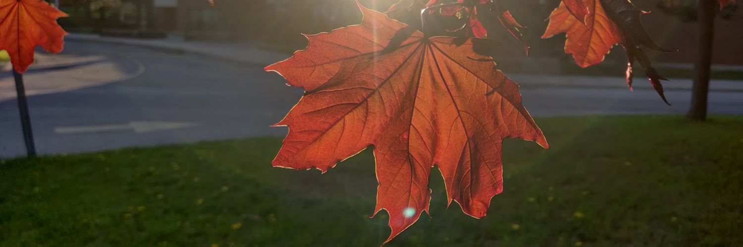 CaptNapalm's profile banner image