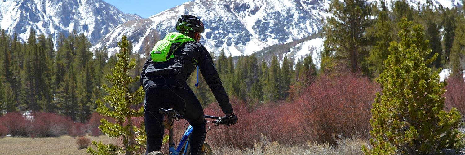 Philip Mooney banner