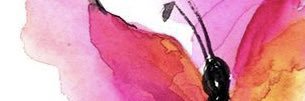 Mari Sosa banner