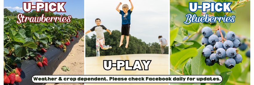 fiferorchards banner