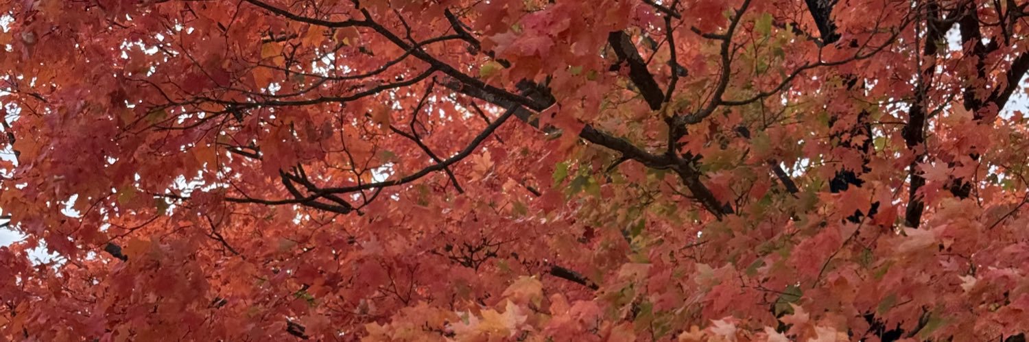 🎀 banner