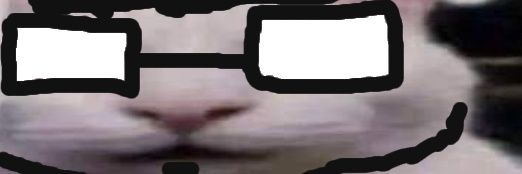 bachesbdm's profile banner image