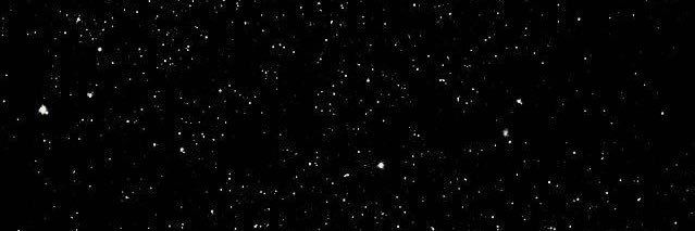 dels✨ banner